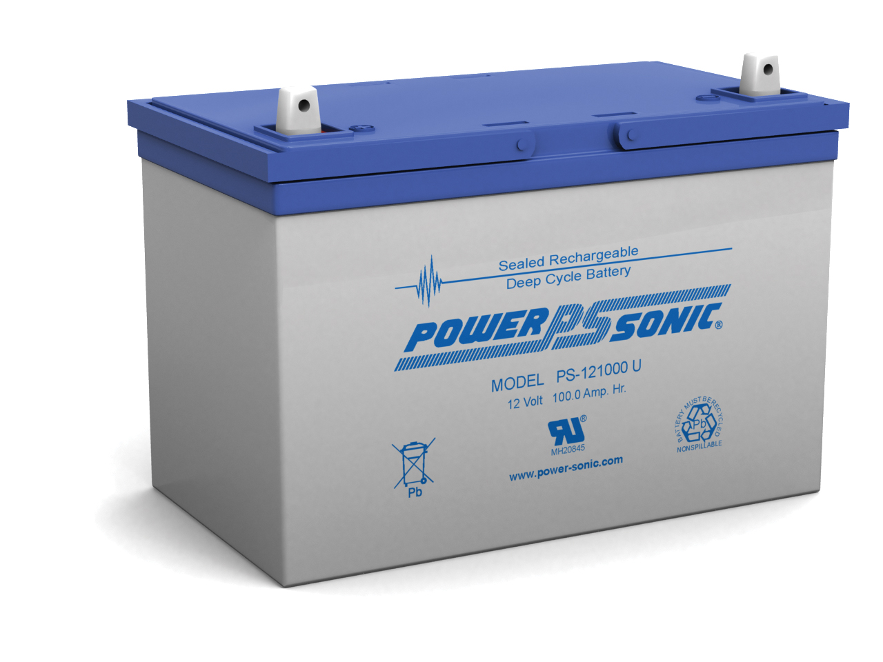 Powersonic PS-121000 12V 100AH Battery